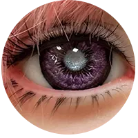 5.webp